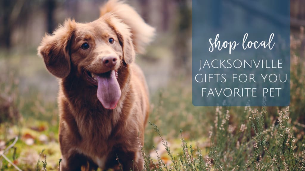 Gifts for your pets from Jacksonville, Florida