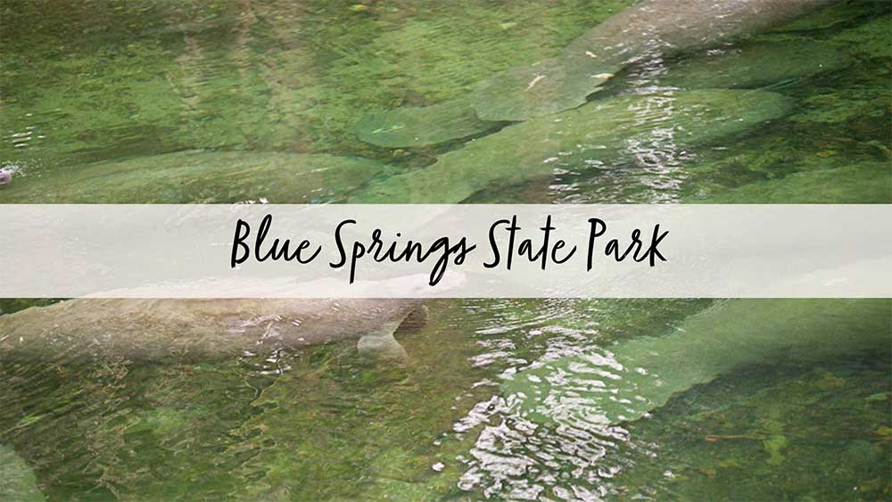 Blue Springs State Park in Florida