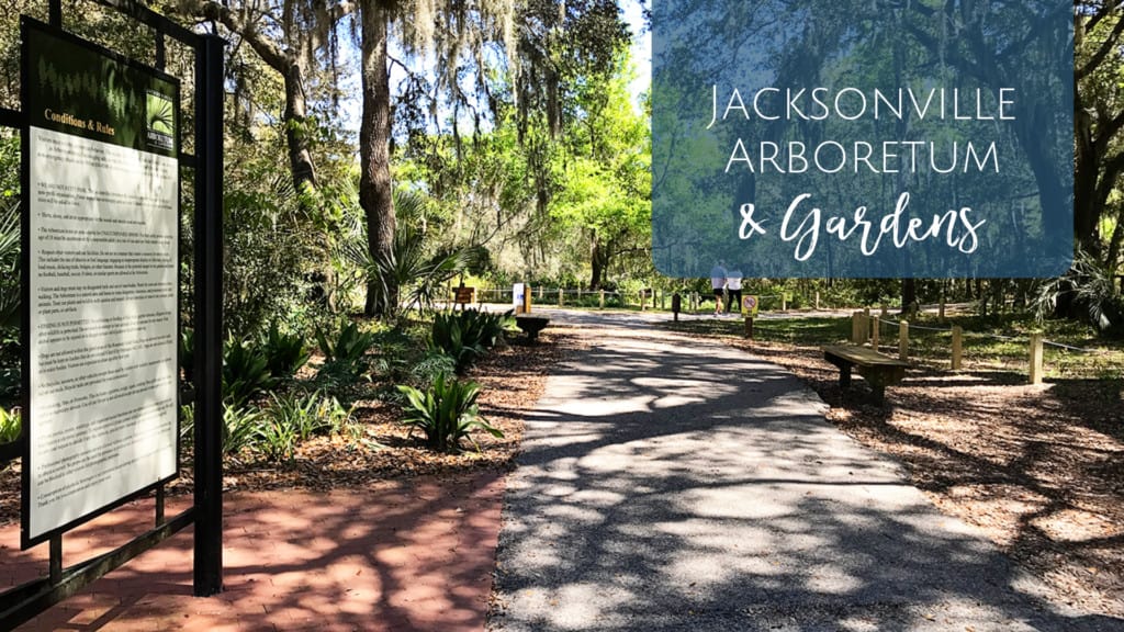 Jacksonville Arboretum & Gardens - Hiking with Kids in Jax