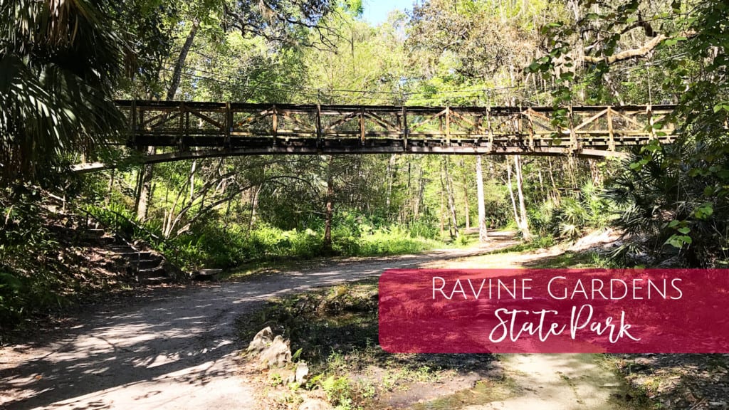 Ravine Gardens State Park - Road Trips from Jacksonville, Florida