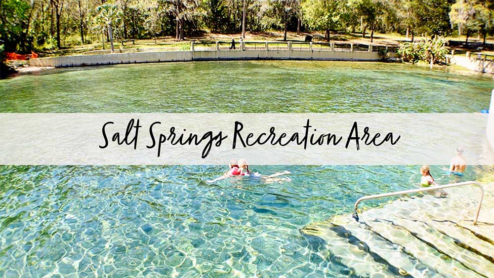 Salt Springs Recreation Area in North Florida