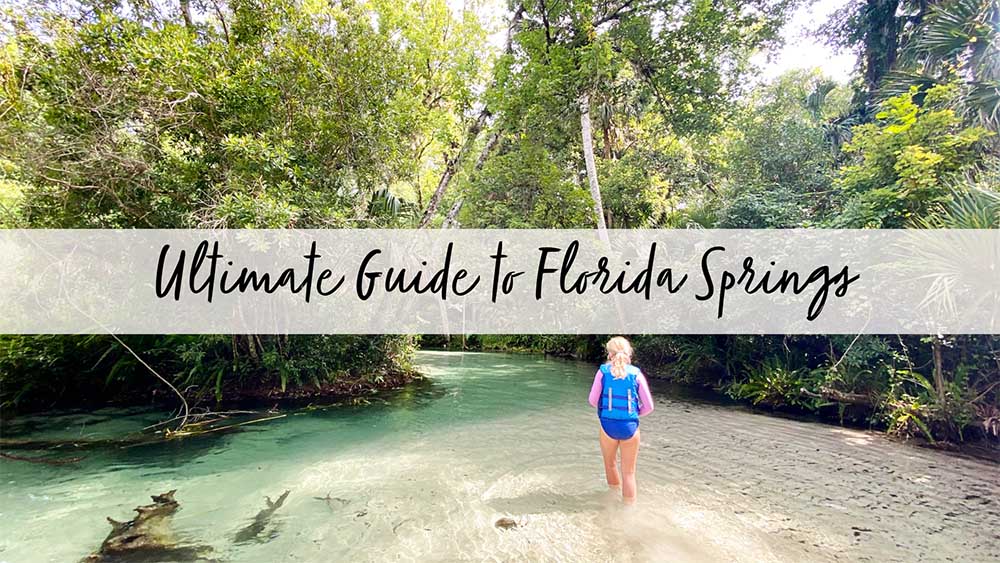 The Ultimate Guide to Florida Springs - Day Trips from Jacksonville, FL