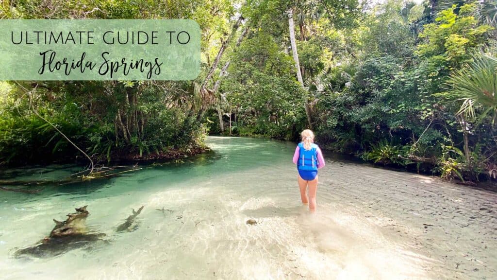 Florida Springs Day trips from Jacksonville