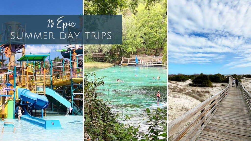 Summer Day Trips From Jacksonville