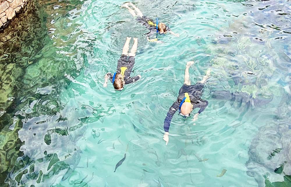 Water Park Day Trips from Jacksonville: Discovery Cove