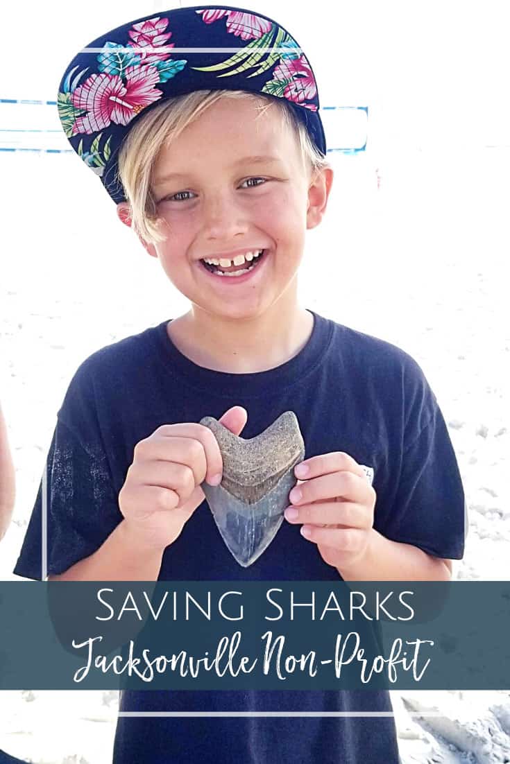 Saving Sharks Non-Profit in Jacksonville Beach, FL