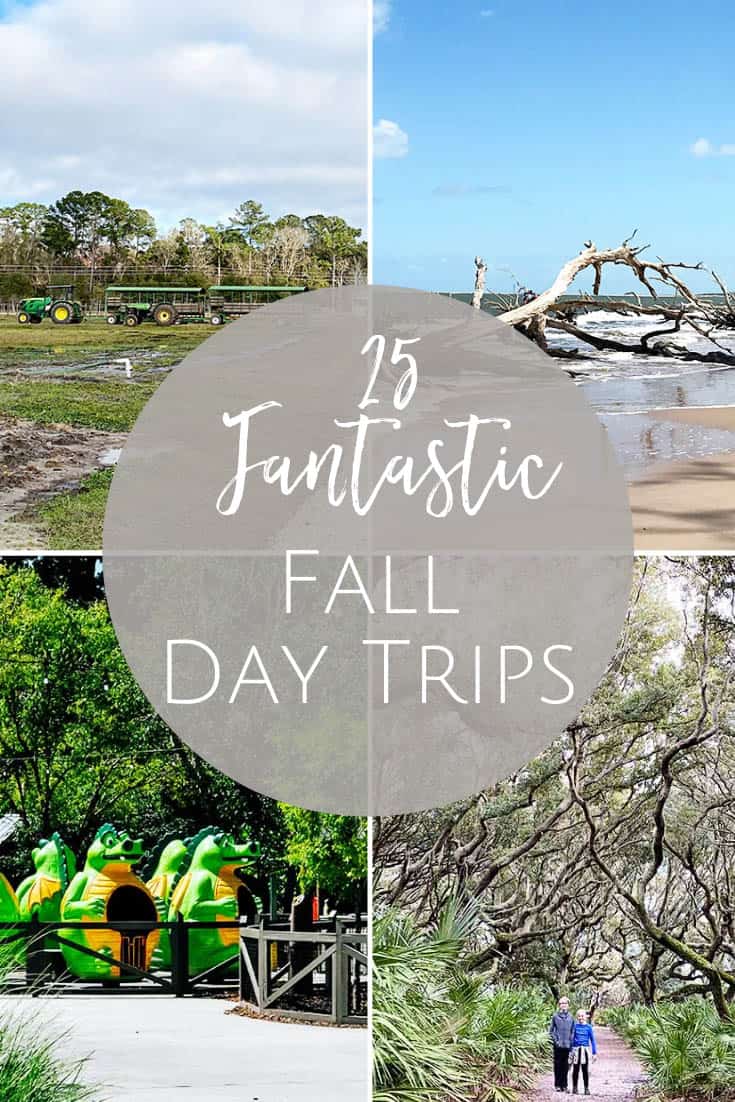 25 Fantastic Fall Day Trips from Jacksonville