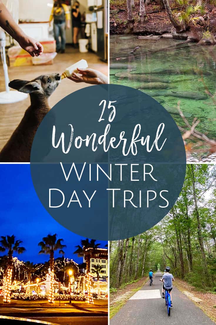 Jacksonville Day Trips