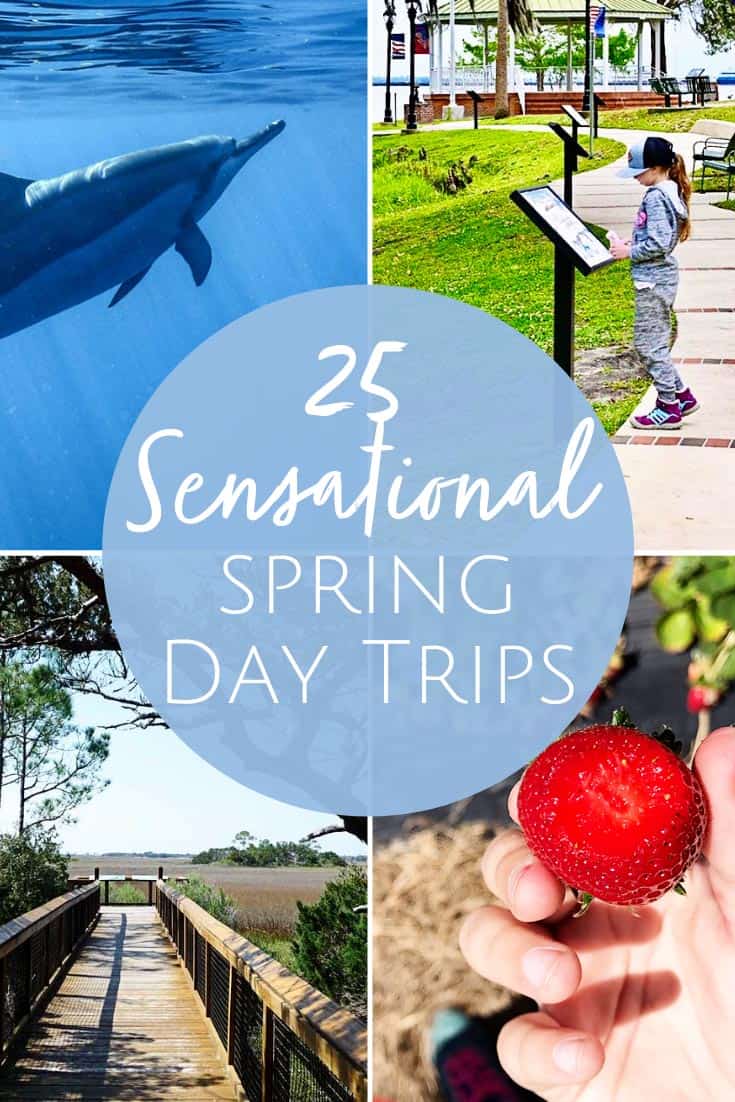 25 Spring Day Trips from Jacksonville