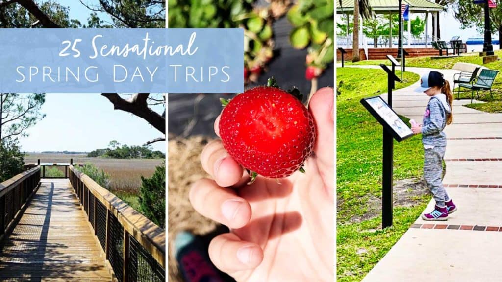 Spring Day Trips from Jacksonville