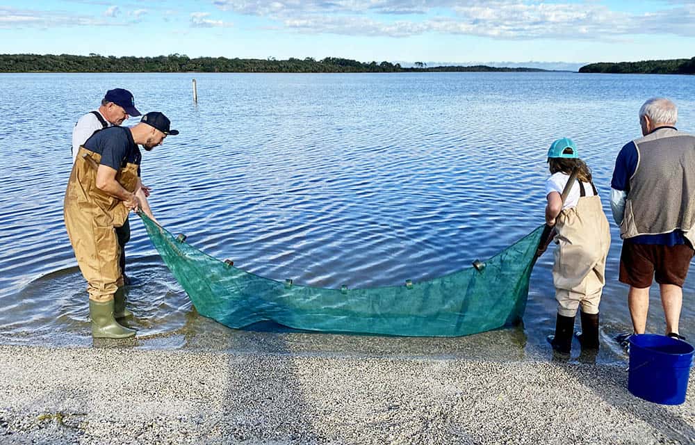 Seining at GTM Research Reserve - Jacksonville Beach Moms