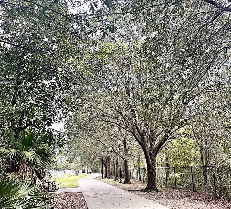 Trails at Huffman Park in Jacksonville, FL