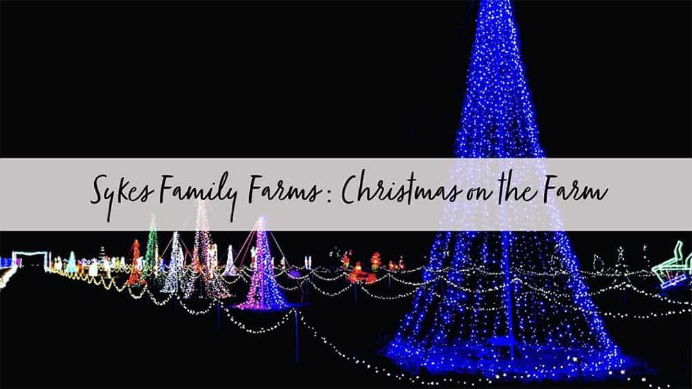 Sykes Family Farms Christmas on the Farm in Jacksonville, FL