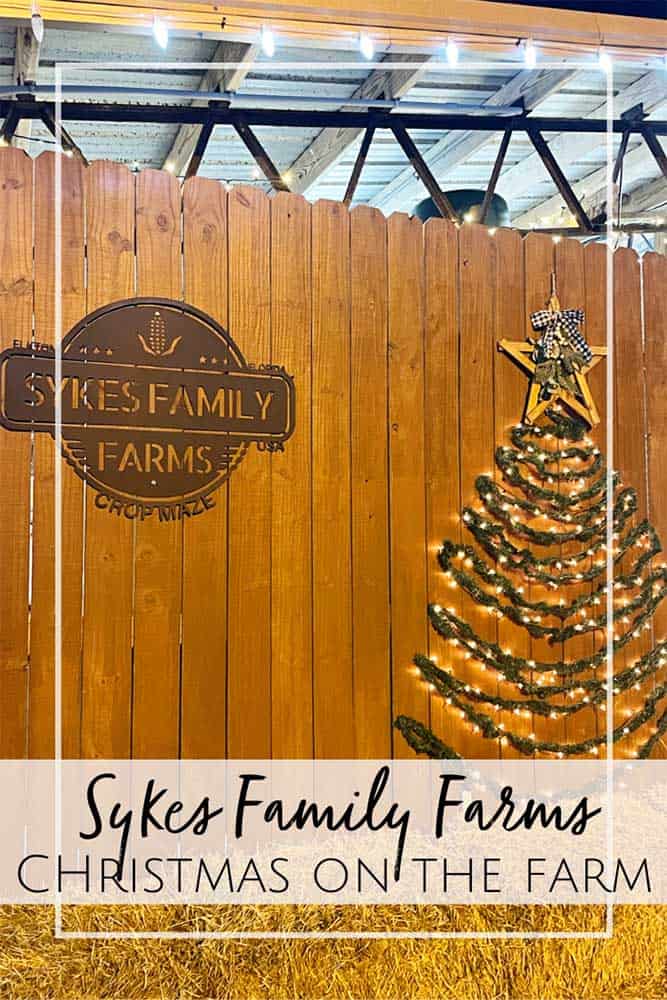 Sykes Family Farms Christmas on the Farm in Jacksonville, FL